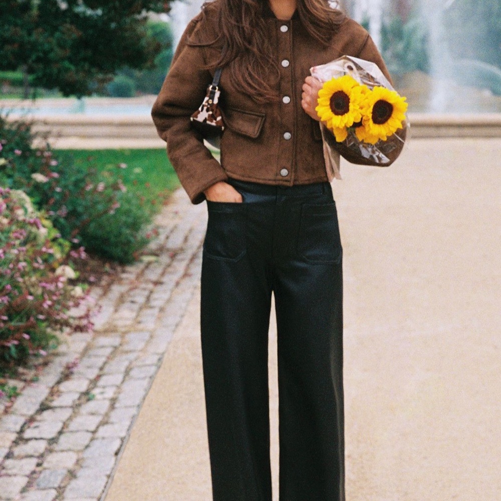 Anthropologie Maeve the Colette Leather Full Length Wide Leg Pants